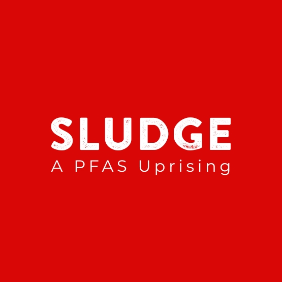 Sludge